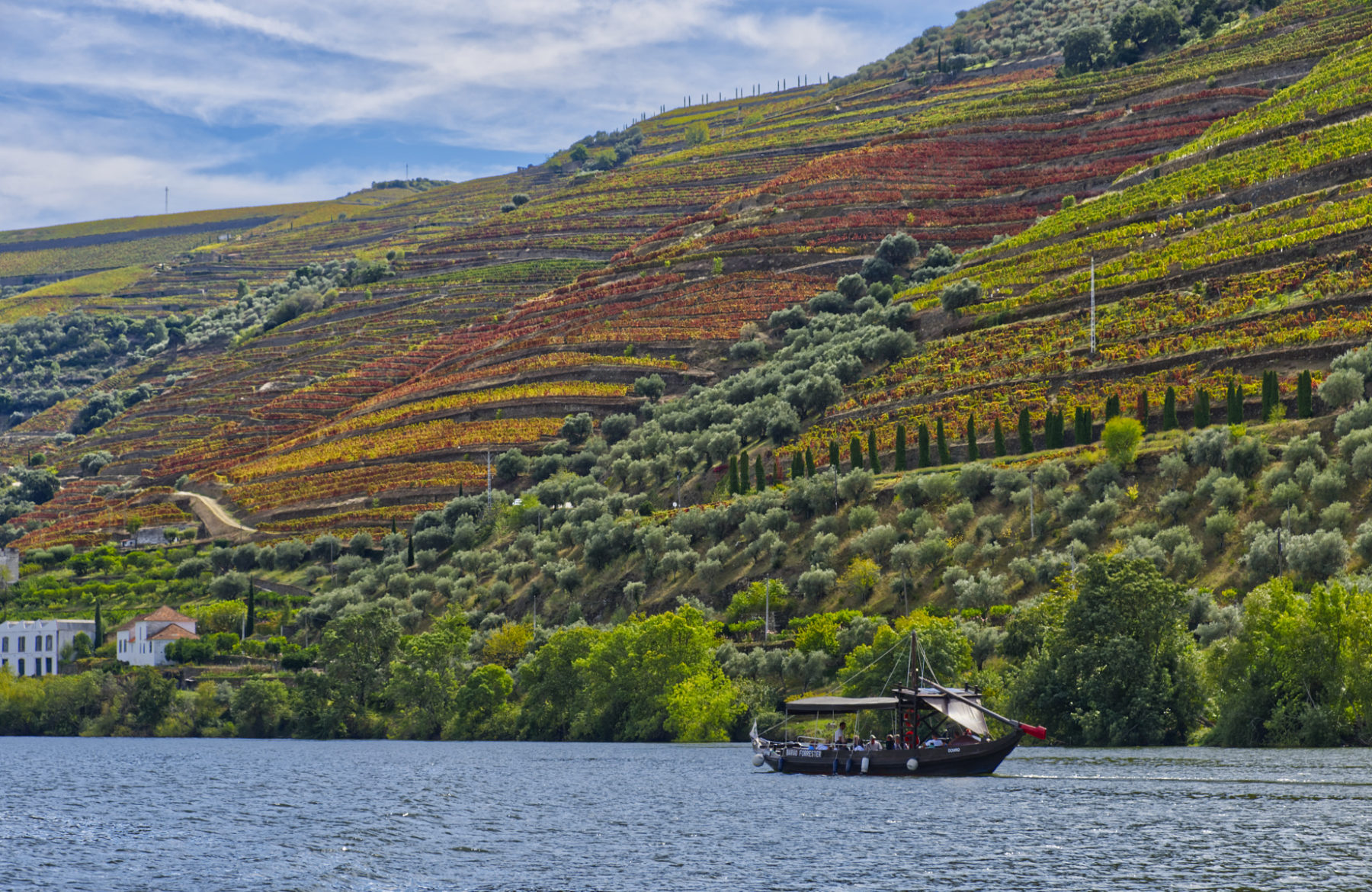 Douro Valley Portugal