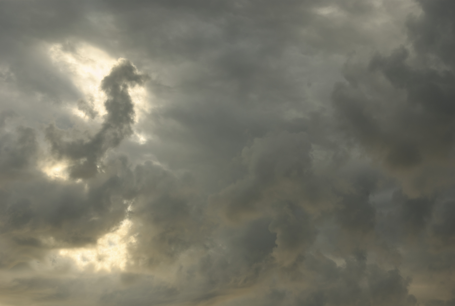 seahorse in the sky Venice